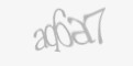 Защитный код