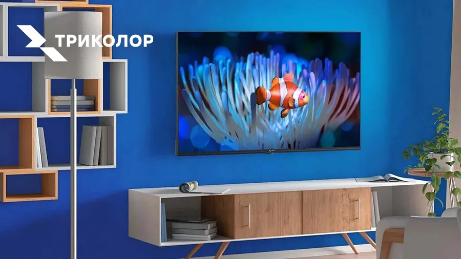 Новинка: Телевизор Триколор P24HH302 — 24