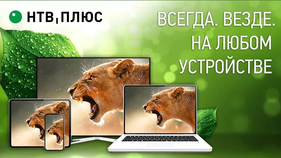 Встречайте новые каналы в онлайн‑сервисе НТВ‑Плюс ТВ